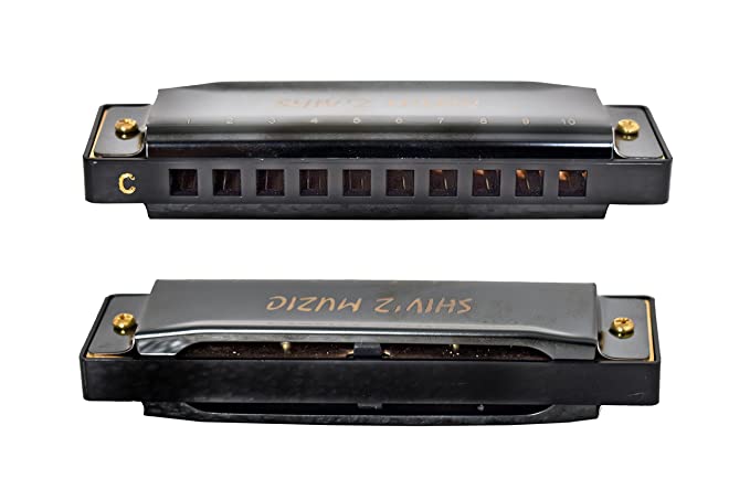 Harmonica, 10 Holes Mouth Organ, (with carry Case & Manual)